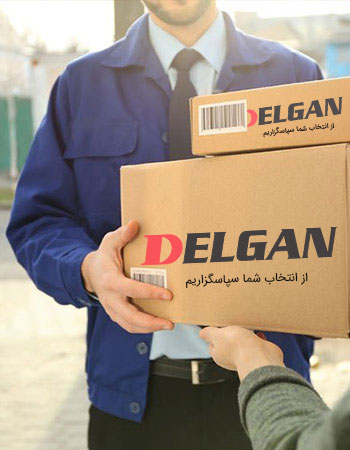 Delgan_Shipping_Slide1